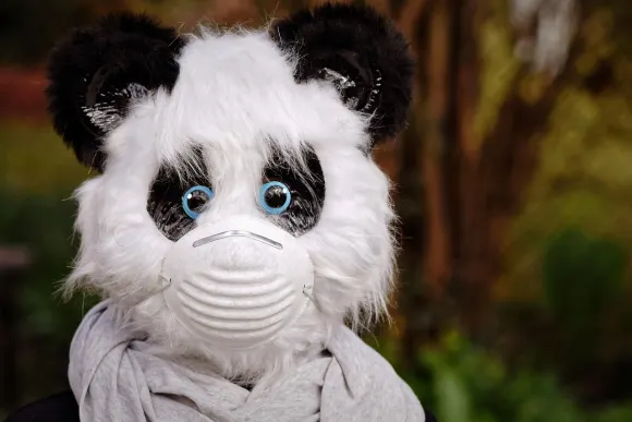 BetOriginal Casino Ondersteuning